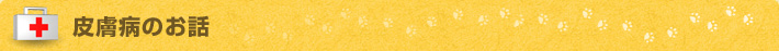 皮膚病のお話